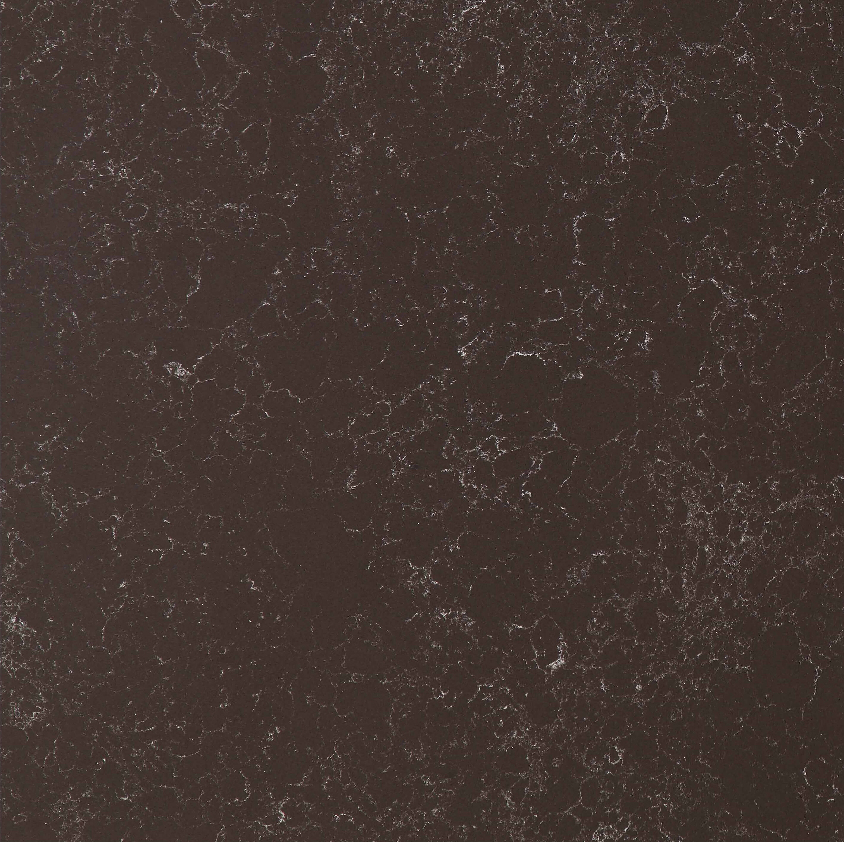 Marron Imperial